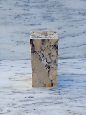 Culcatta viola Coffee Table, Plinth Marble Living Room Table with Marble Stand