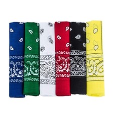 Paisley Bandanas - Pack of 6-100 Cotton Double Sided Bandanas - Headwraps