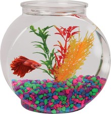 1-Gallon Fish Bowl - Impact-Resistant Plastic Aquarium for Home Decor