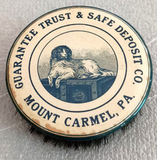 Rare Guarantee Trust & Safe Deposit Co. Mt. Carmel PA Promo Dog Horse Brush 1924
