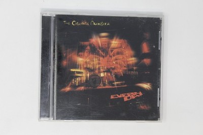 The Cinematic Orchestra- Every Day CD