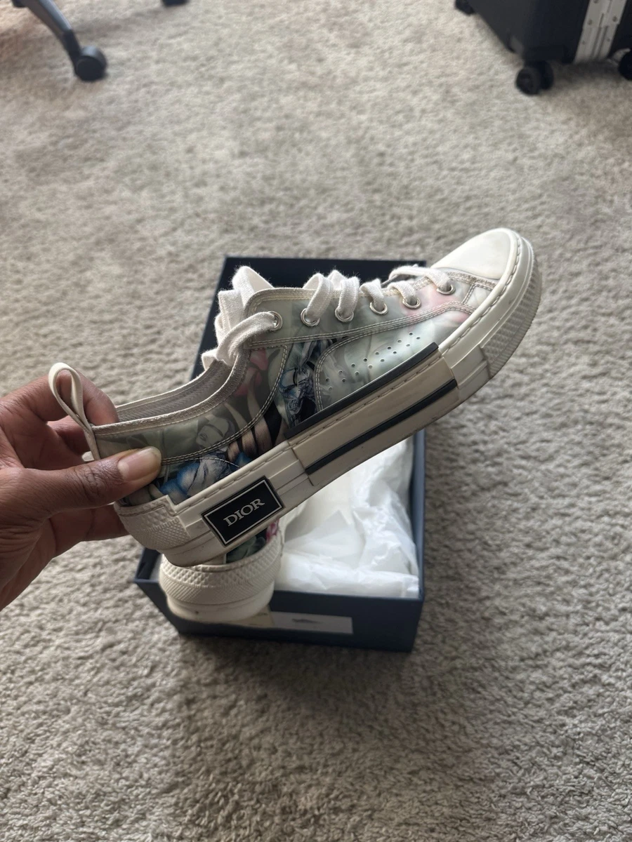 Dior B23 Low Top Oblique White 2019 for sale | eBay