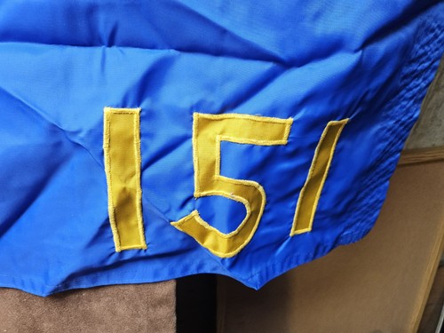 Truppe 151 West Virginia Pfadfinder Flagge BSA 31 x 46 cm  - Bild 4 von 9