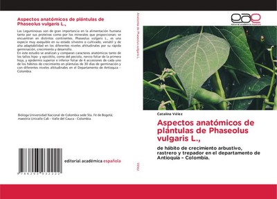 Catalina Vélez | Aspectos anatómicos de plántulas de Phaseolus vulgaris L.,