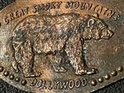 Dollywood Great Smoky Mountains (Retired) Zc Elongated Penny #070999 — photo 1