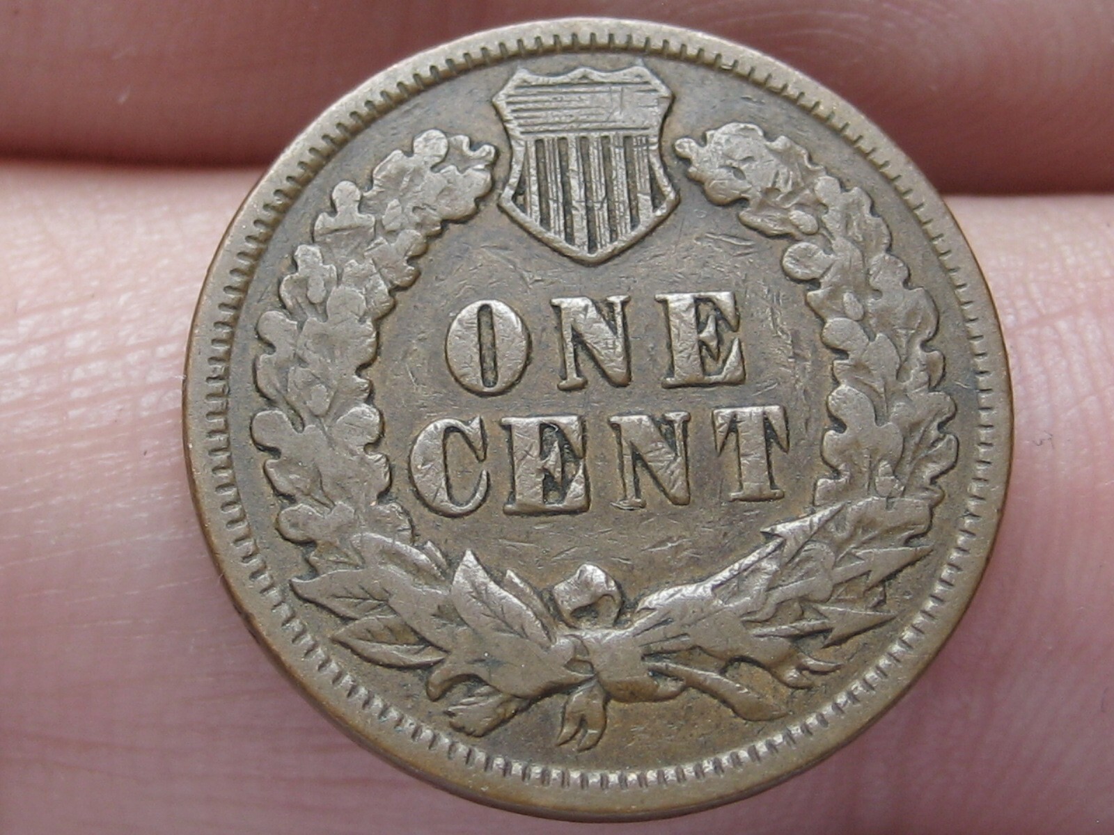Picture 2 of 3