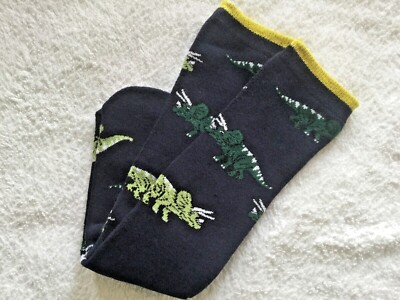 JUNGEN HOHE QUALITÄT WARM GEPOLSTERT SKI WELLY THERMO STIEFELSOCKEN DINOSAURIER STREIFEN