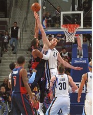 Kosta Koufos   Autographed 8x10   Memphis Grizzlies  Free Shipping   #S2407