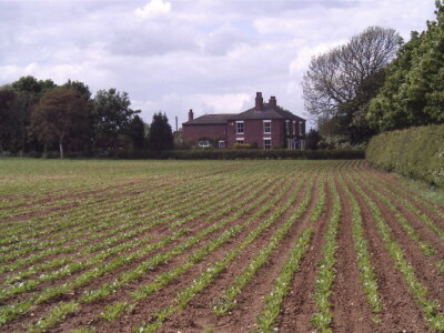 Photo 6x4 Highfield Farm Roxby/SE9216 Highfield Farm on the B1207  c2005