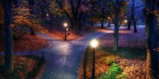 Landscape fall park new york city trees walkway street Custom Gaming Mat Desk