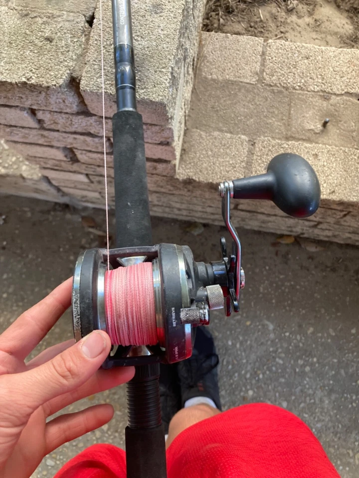 Carrete Penn Warfare 20N Star Drag mano derecha enrollado con pesca trenzada de 70 libras Foto 4 de 4