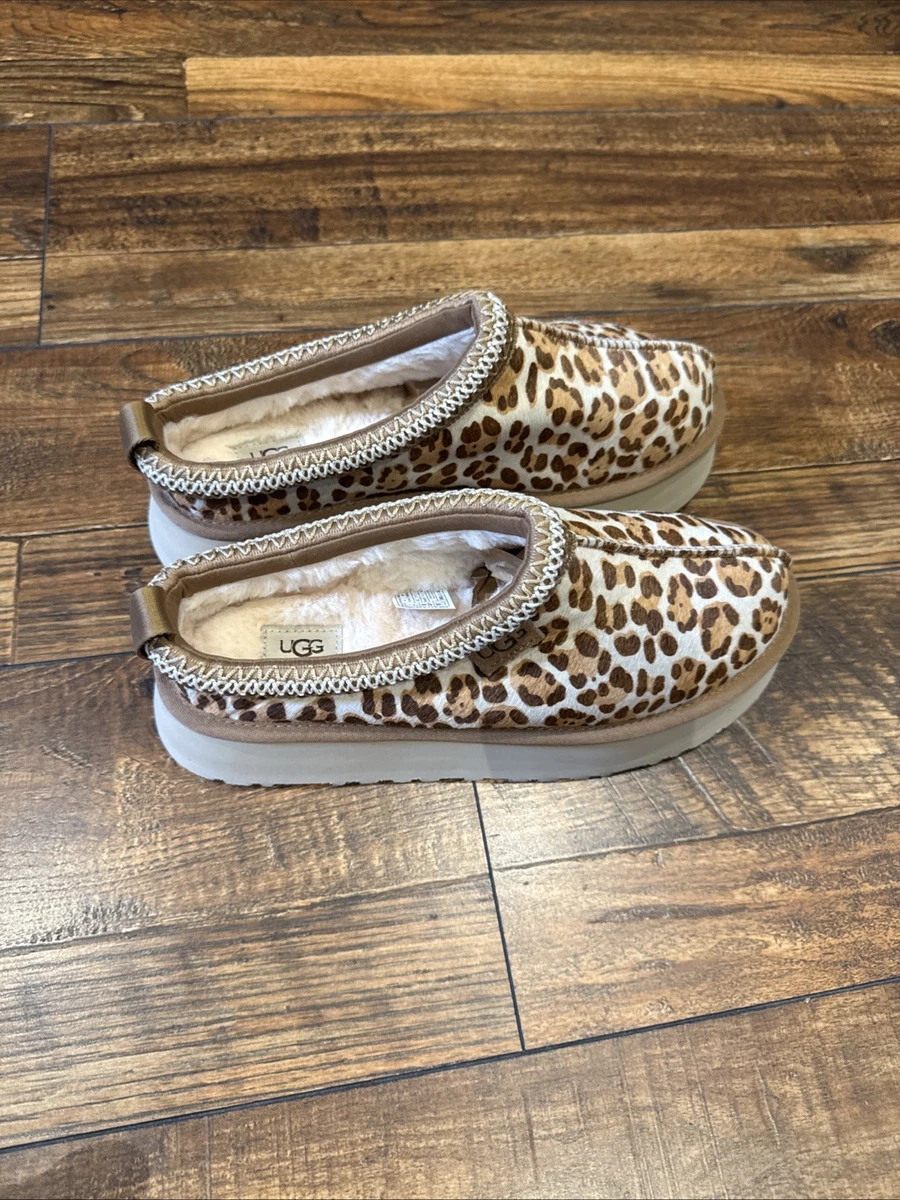 Ugg Tazz Plains Leopard Print/Cheetah Print Uggs Size 7 in Women’s