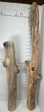Driftwood 2 Pieces aquarium terrarium beach decor taxidermy Centerpiece