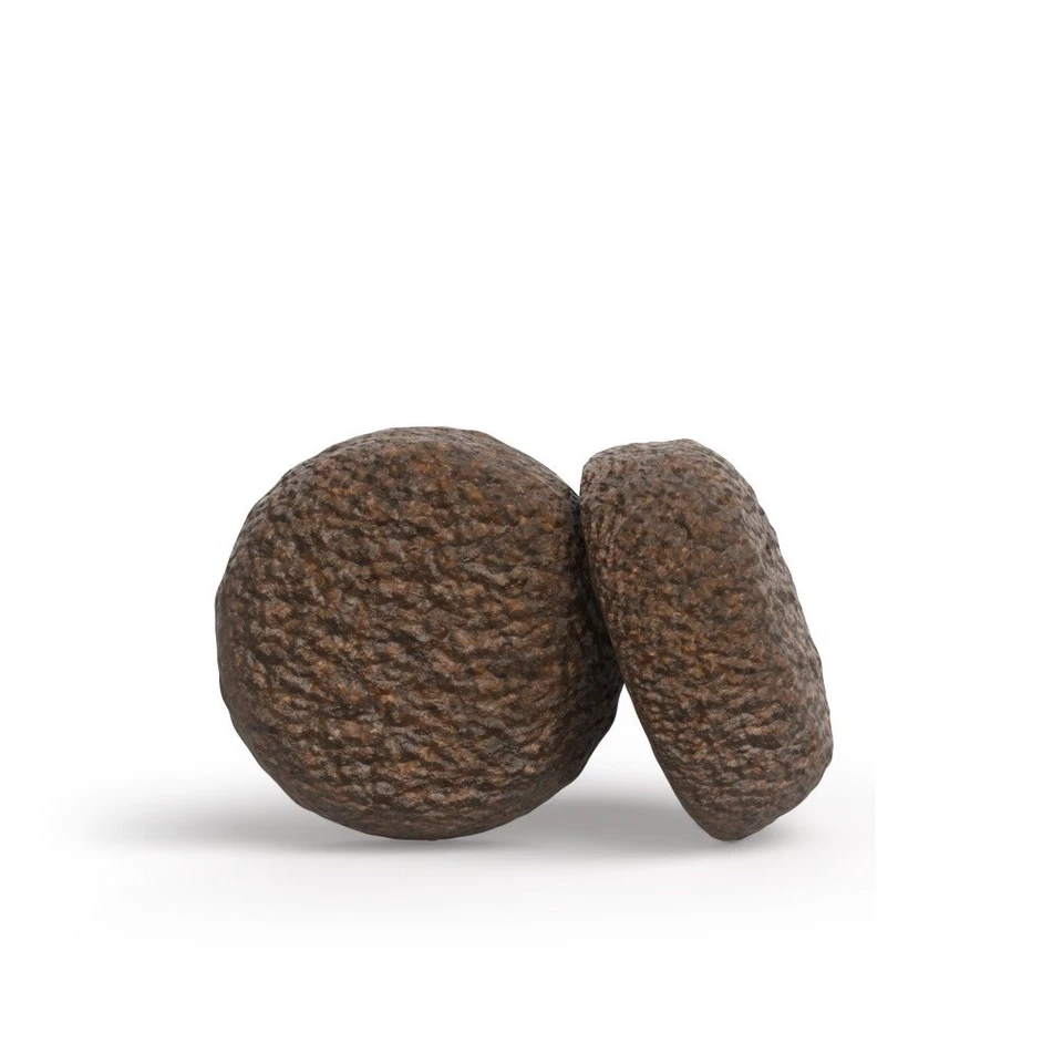 4032254785835 JOSERA YoungStar - trockenfutter für Hunde - 12,5kg JOSERA - Bild 2 von 2