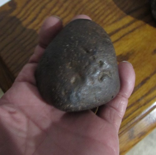  IRON NICKEL  NANTAN METEORITE COMPLETE INDIVIDUAL 318.5 GRAMS
