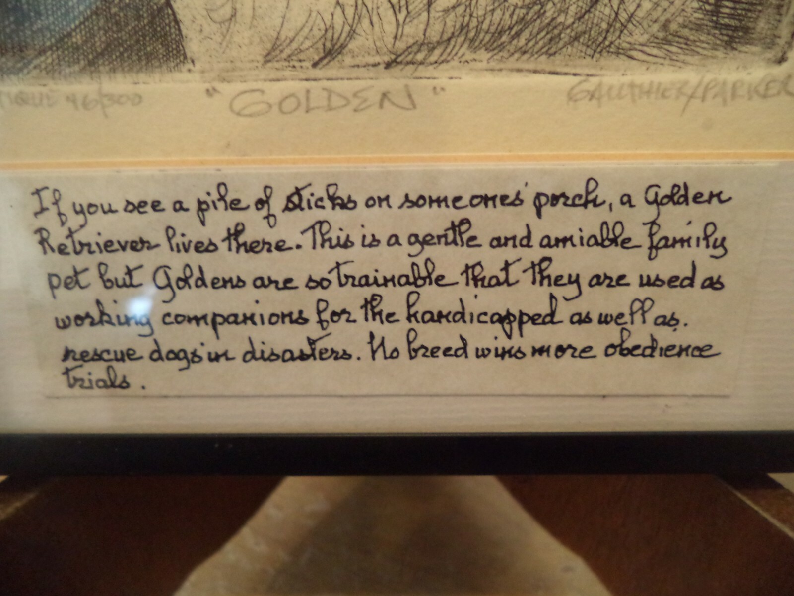 GOLDEN RETRIEVER Etching by Gauthier/Parker Signed #46/300, 10 1/4" X 8 1/4"