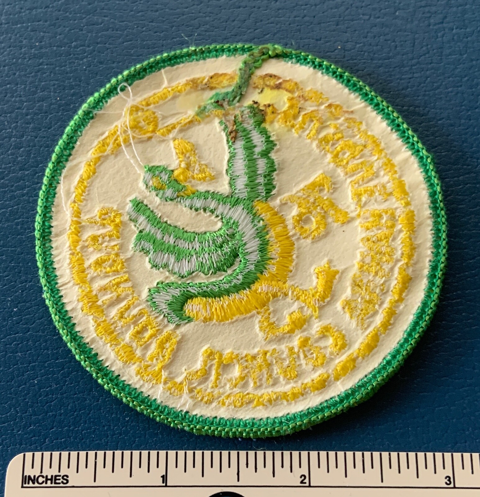 Vintage 1974 SUSQUEHANNA COUNCIL Boy Scout Roundup PATCH BSA Uniform