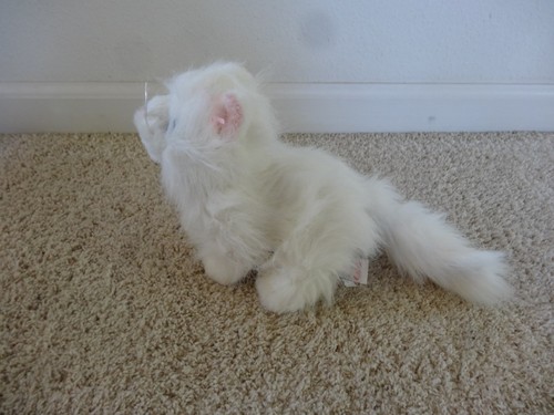 Webkinz Persian Cat - No Code - Ganz - HM110 - Picture 2 of 3