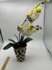 MACKENZIE CHILDS Courtly Check Potted Orchid 18  