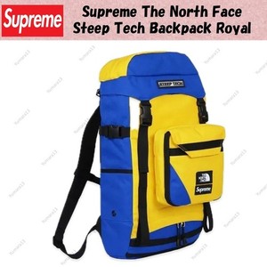North Face Steep Tech Backpack | eBay