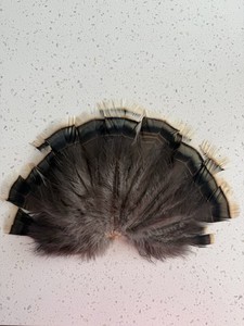 Mini Wild turkey Tail Fan Jackalope Fly Tying Craft Mount Voodoo Bustle Oddity