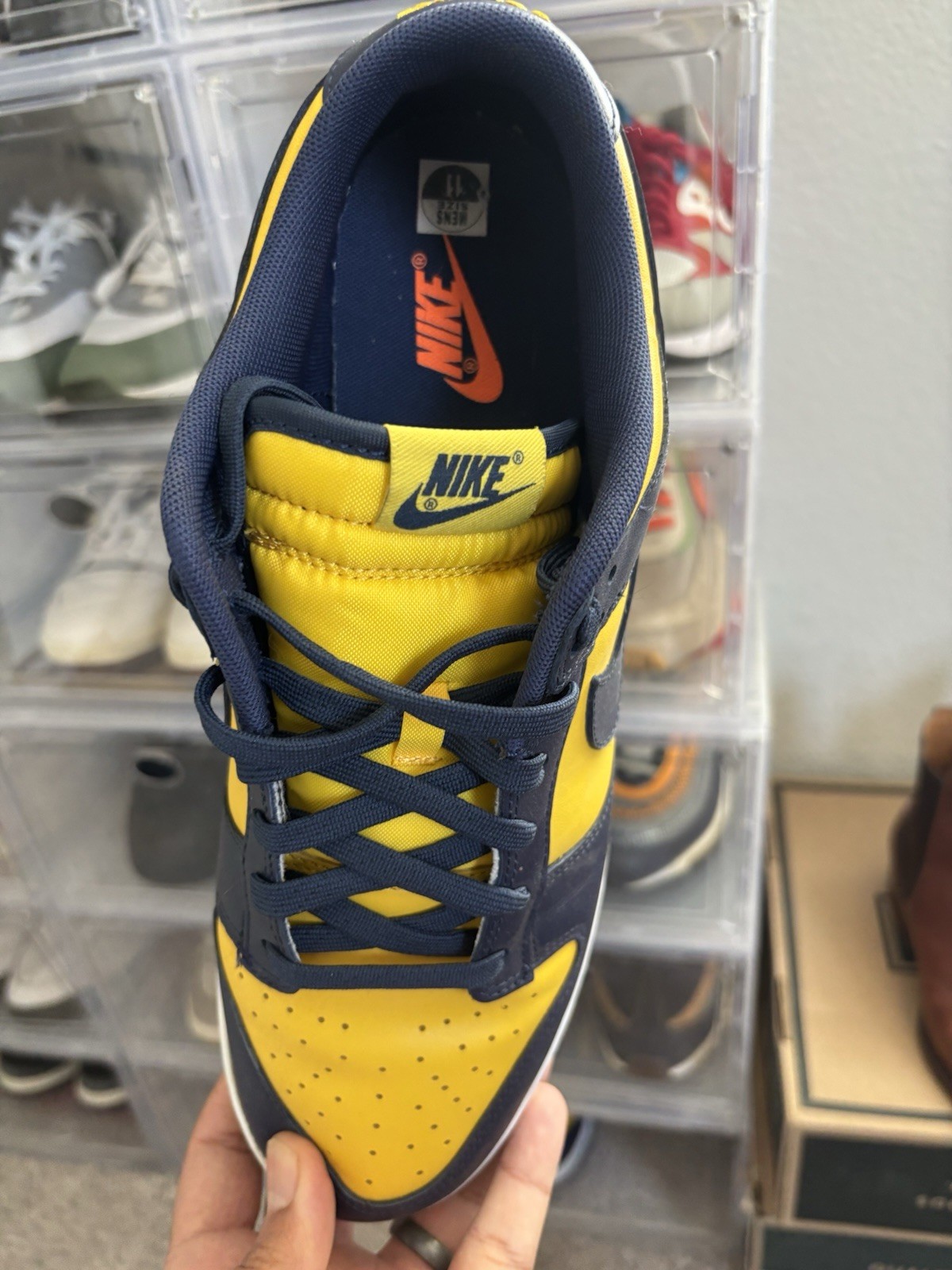 Michigan Dunks - image 3