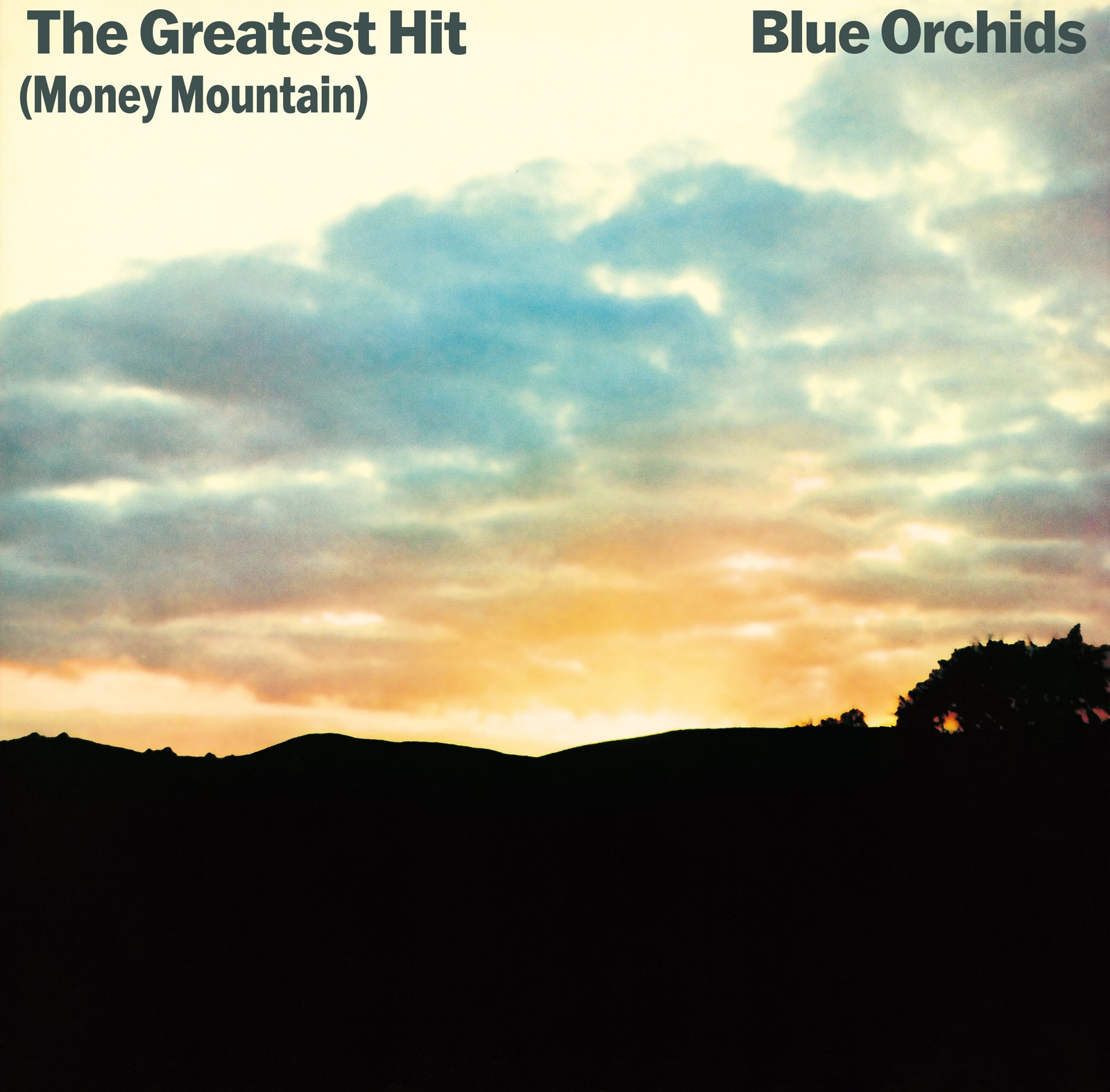 Blue Orchids The Greatest Hit (Money Mountain) (CD) Album