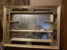 Vintage Hollywood Regency Style Gold Shadow Box Mirror With Shelves