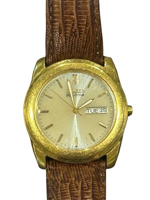 Men's SOLAR Watch CITIZEN Eco-Drive E100-H25721 Gold/Brown Watch