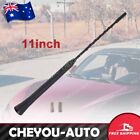 <!--F#f_0-->Antenna / Aerial for Hyundai I20 I30 I40 IX35 IX45 Getz Whip 11 Inch New AU<!--F/-->