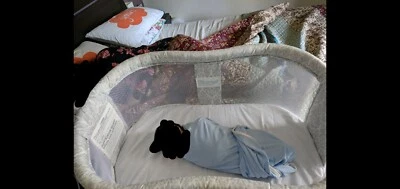 used halo twin bassinet for sale