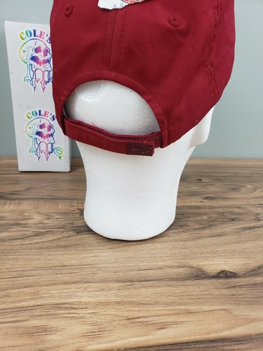 Captivating Headgear South Carolina Gamecocks Strapback Cap Hat Red and White - 第 3/5 張圖片