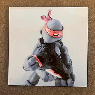 Teenage Mutant Ninja Turtles/Nike Trainers - Raphael - Acrylbild - Wandbild