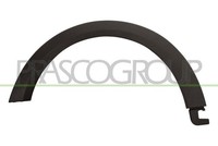 Prasco Zier Schutzleiste KotflüGel Vorne Links MN3121582