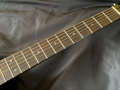 Epiphone Acoustic Guitar Elvis Presley EE-101 with Case | eBay