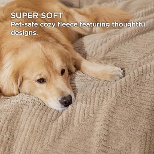 Dog Blanket for Small Dogs Washable - Soft Fluffy Puppy S(25x35") Brown Wave - Bild 2 von 6