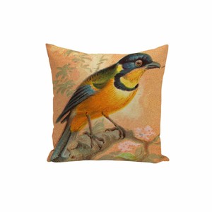 Détails Sur Housse De Coussin Torquata Dessin Petit Oiseau Tangara Jaune Et Bleu 40x40cm