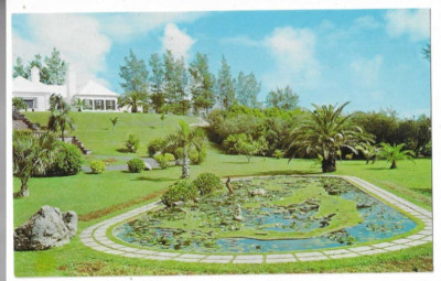 Bermuda Map Garden, South Shore Road, Devonshire, Vintage Unused Postcard