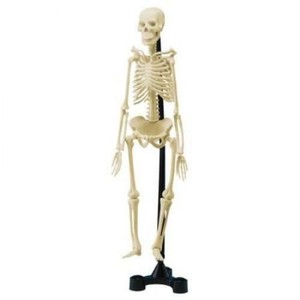 mini skeleton toy