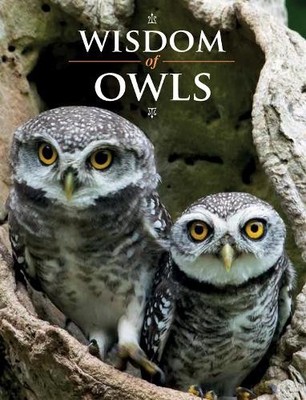 Wisdom of Owls by Lisa Purcell Hardback Book The Fast Free Shipping