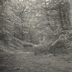 Bild 3 von 16