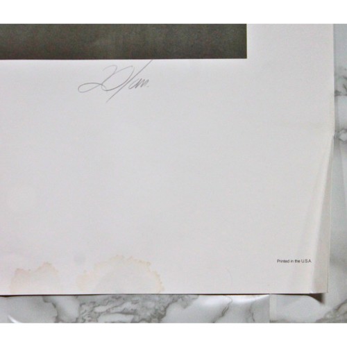 Donald Zolan Tiny Treasures 215/450 | Leer por favor - Imagen 2 de 2