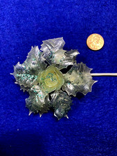Holly Christmas Flower Pick/Green Glitter - Vintage