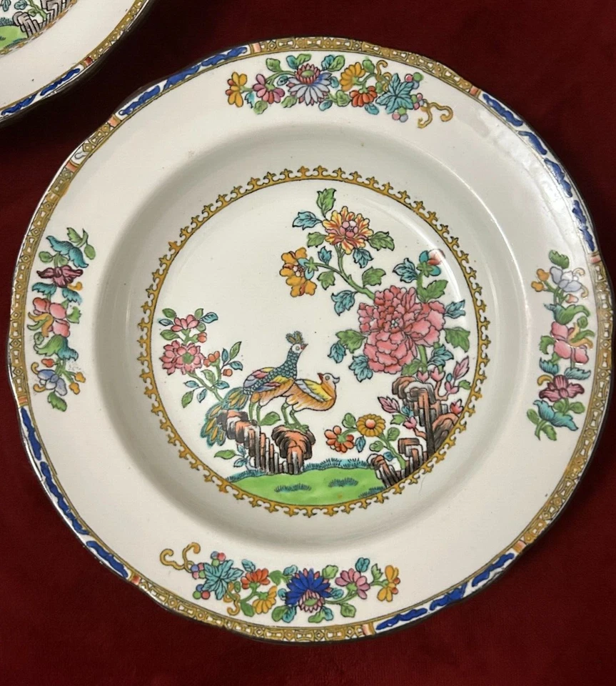 Antique Spode PEACOCKS  Set of Two Soup Plates Black Stamp England Circa 19th C - Image 4 of 4
