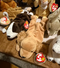 Ty Lot of 22 Beanie Babies Lot C — photo 8