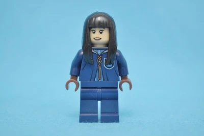 LEGO Harry Potter 30651 Quidditch Practice