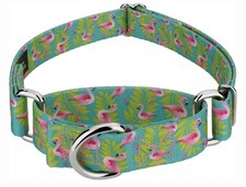 Country Brook Petz Flamingos Martingale Collar, Small: 11-15in neck, 5/8-in wide