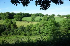 Photo A3 Wooded Valley near Norris Green Norris Green/SX4169 Fields and c2017