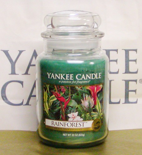 (Q-Z Scents) Yankee Candle LARGE 20 oz 22 oz JAR & TUMBLER CANDLES - 50+ CHOICES - Picture 3 of 79