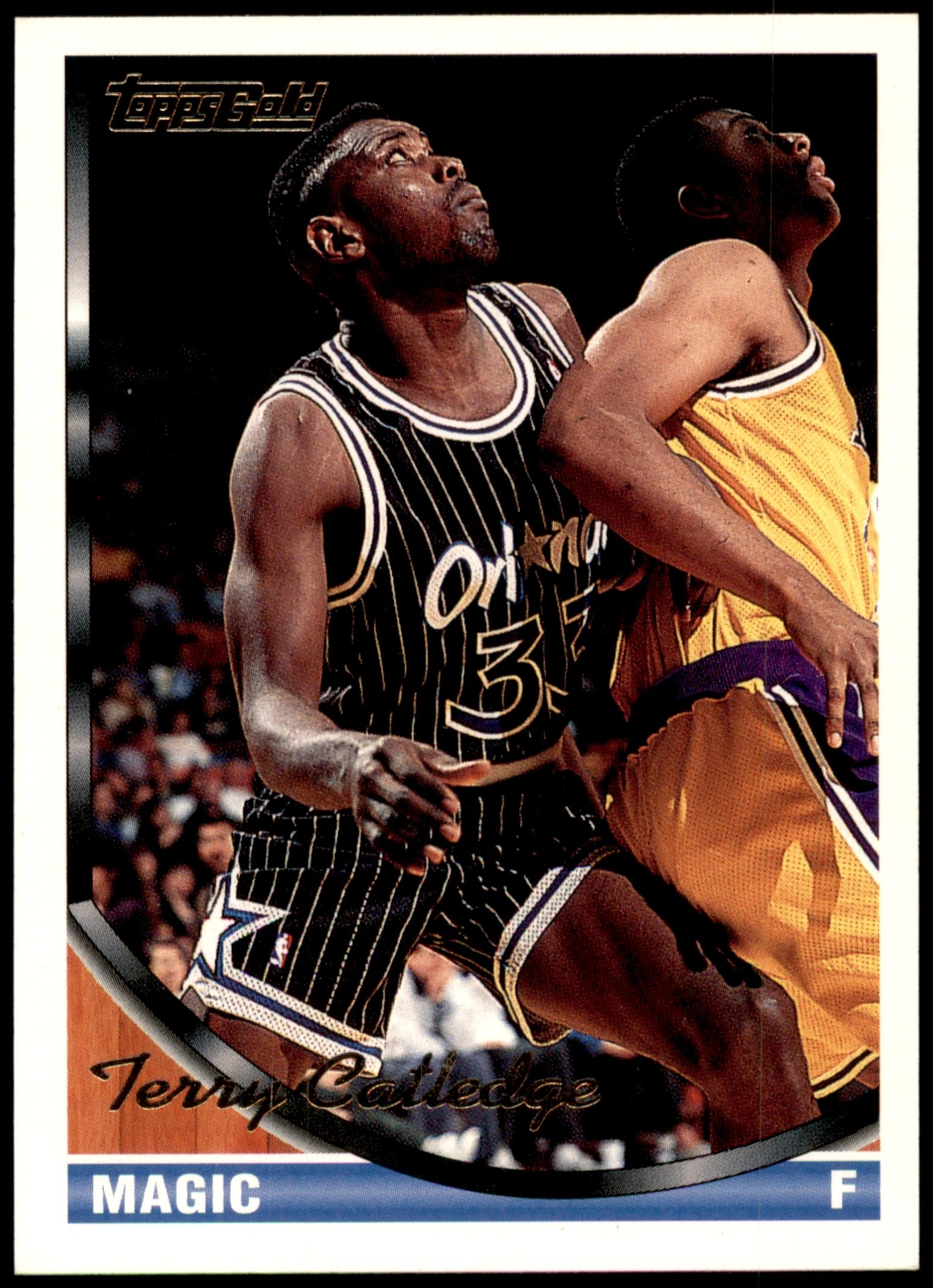 Terry Catledge #18 1993-94 Topps Gold